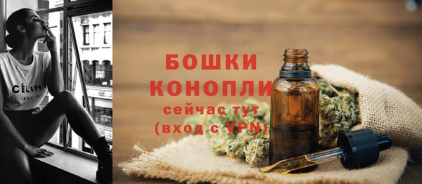 стафф Гусиноозёрск