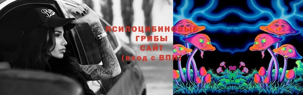а пвп мука Гусев