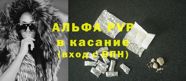 стафф Гусиноозёрск