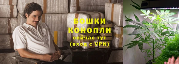 стафф Гусиноозёрск