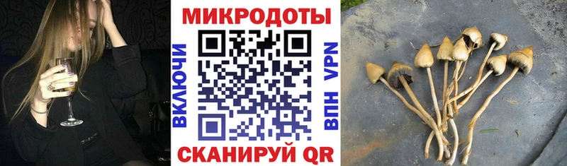 kraken как зайти  Менделеевск  Псилоцибиновые грибы Psilocybe  наркошоп 